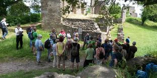Festungsruine Hohentwiel, Event, Hohentwiel-Tag, Besucher