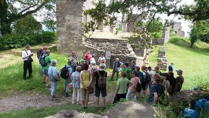 Festungsruine Hohentwiel, Besuchergruppe